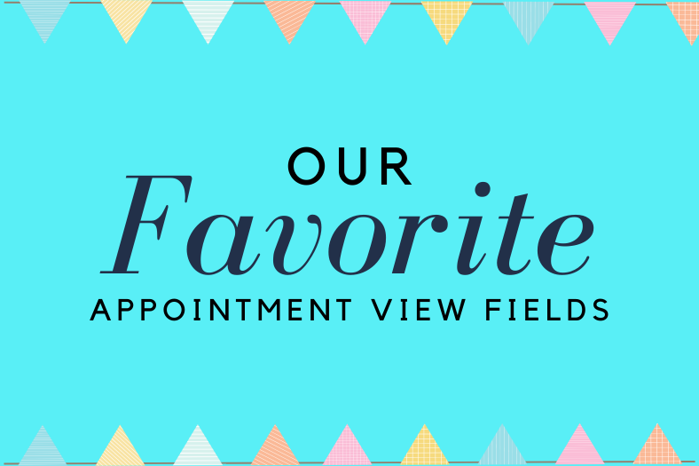 Our Favorite Appointment View Fields