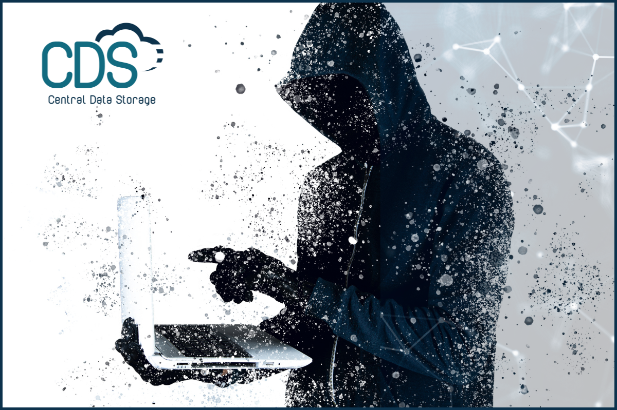 Whose Data Is It Anyway? – The Best Ransomware Protection Guide